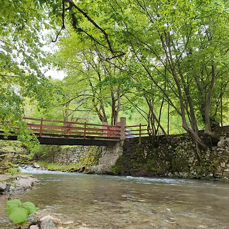 Ferienhaus Kuca Za Odmor Lisine Despotovac
