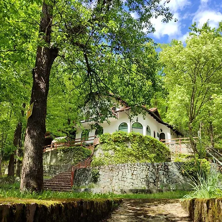 Kuca Za Odmor Lisine Despotovac