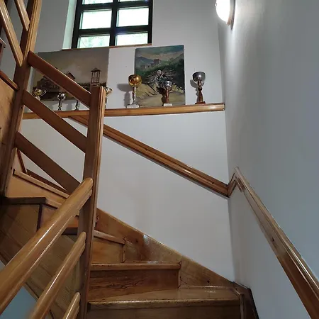 Ferienhaus Kuca Za Odmor Lisine Despotovac