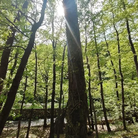 Kuca Za Odmor Lisine