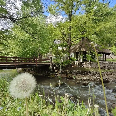 Ferienhaus Kuca Za Odmor Lisine Despotovac