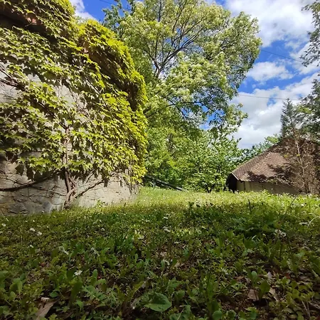 Ferienhaus Kuca Za Odmor Lisine Despotovac