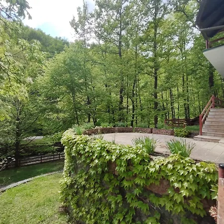 Kuca Za Odmor Lisine Despotovac