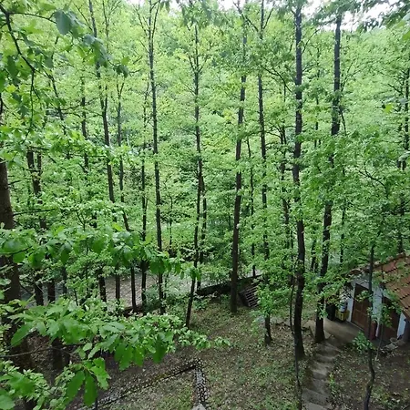 Ferienhaus Kuca Za Odmor Lisine Despotovac