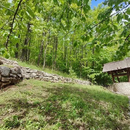 Kuca Za Odmor Lisine Despotovac