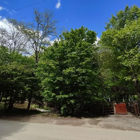 Ferienhaus Kuca Za Odmor Lisine