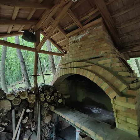 Ferienhaus Kuca Za Odmor Lisine Despotovac