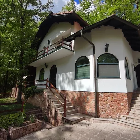 Holiday home Kuca Za Odmor Lisine Despotovac