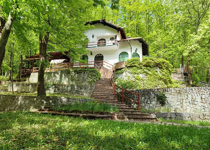 Kuca Za Odmor Lisine Despotovac