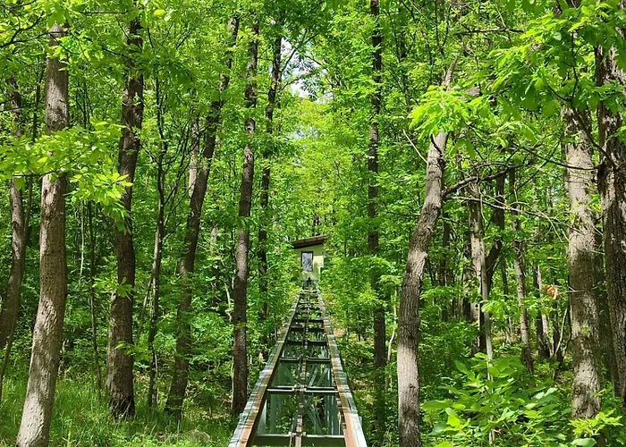 Kuca Za Odmor Lisine Despotovac