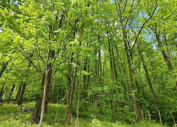 Сasa de vacaciones Kuca Za Odmor Lisine *