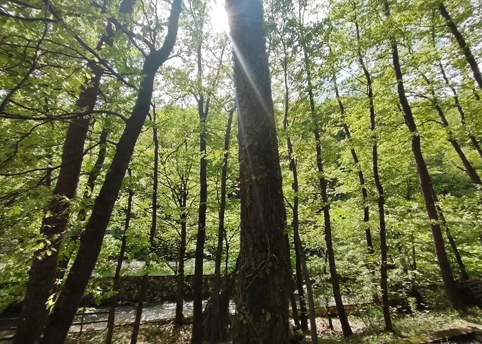 Kuca Za Odmor Lisine