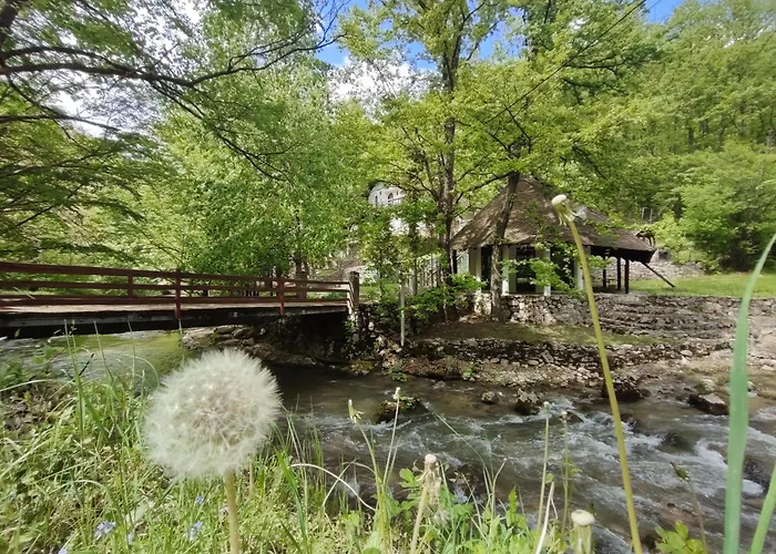 Сasa de vacaciones Kuca Za Odmor Lisine Despotovac