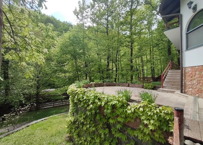 Kuca Za Odmor Lisine Despotovac