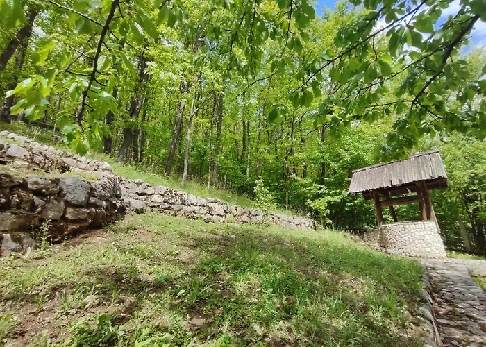 Kuca Za Odmor Lisine Despotovac